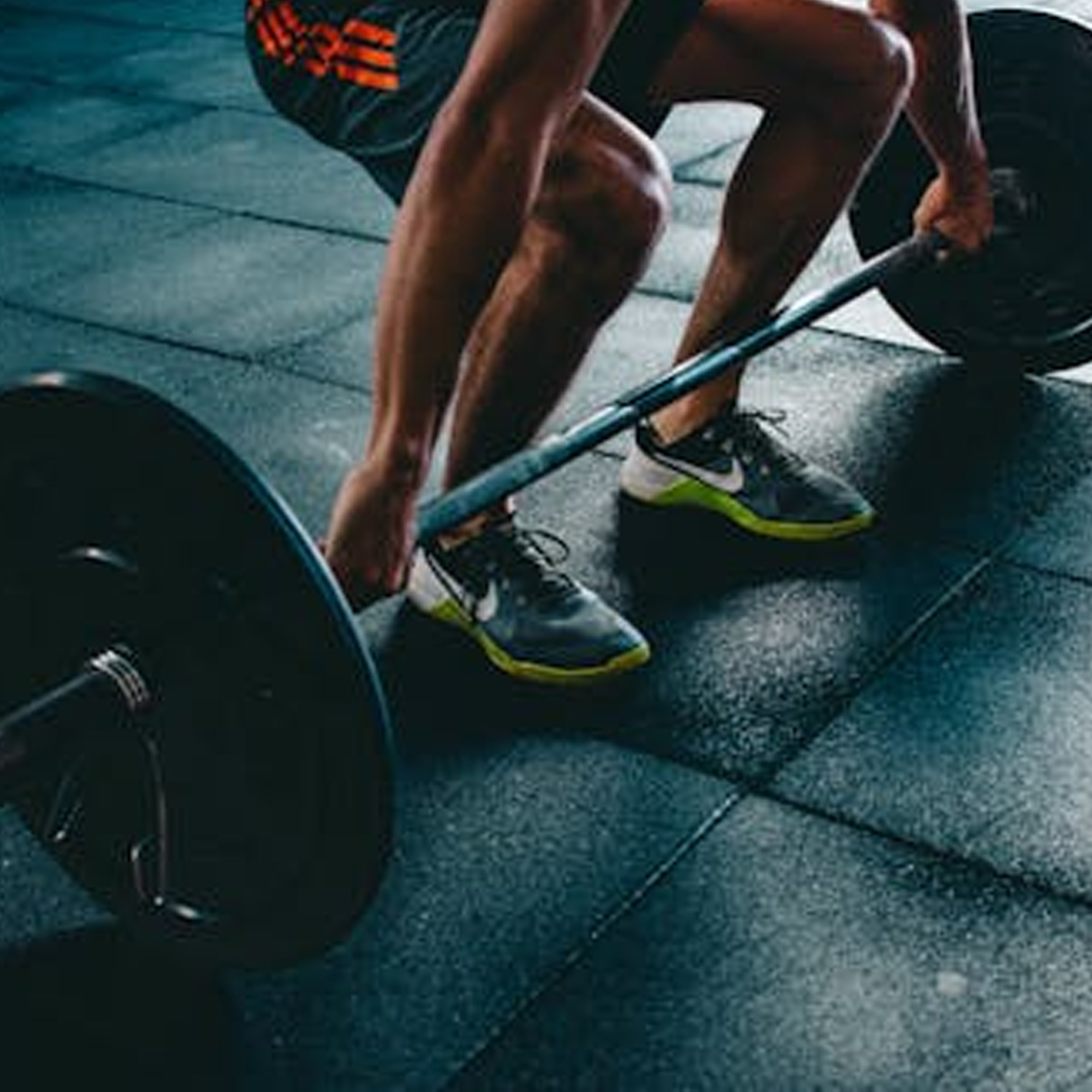 fitness.1